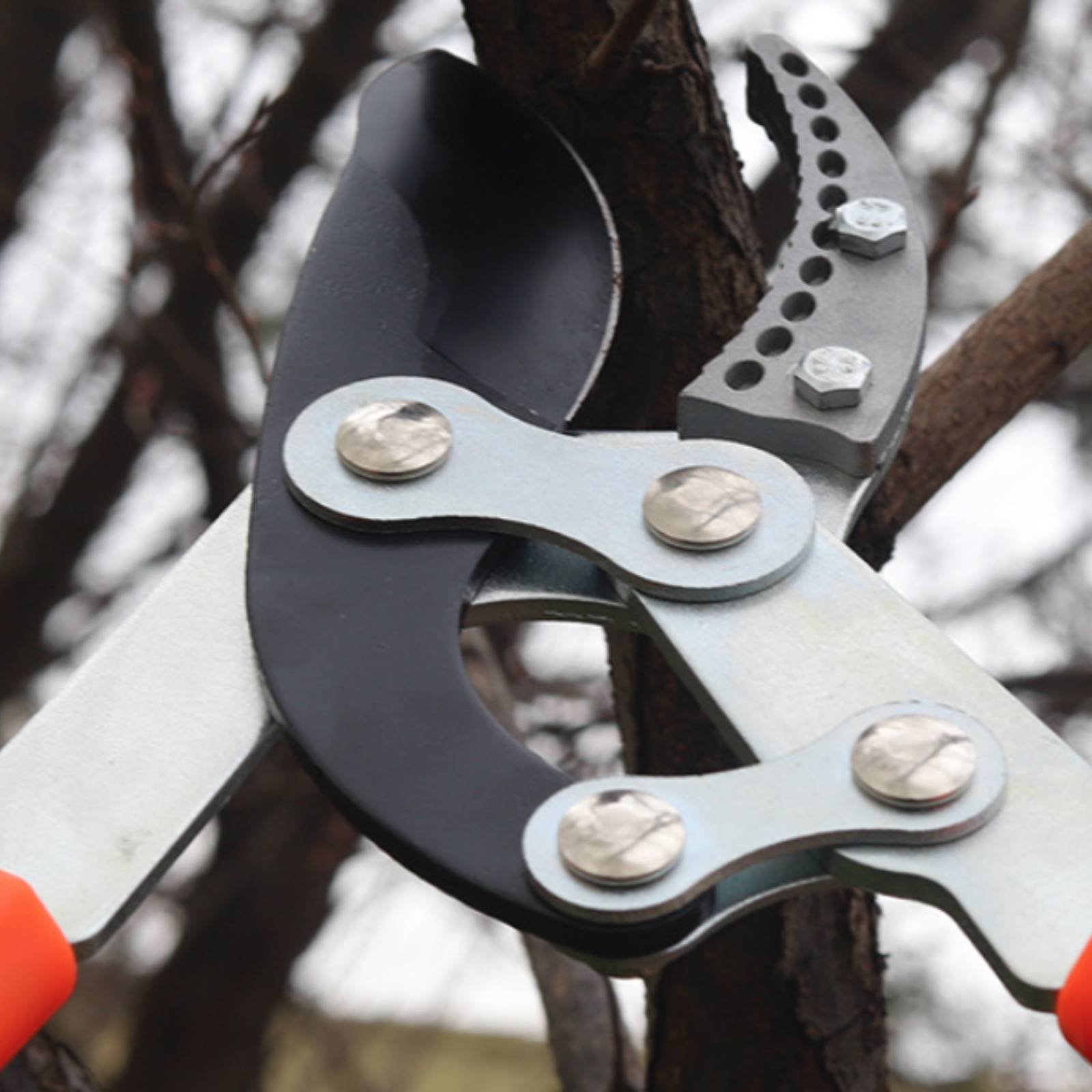 Garden Tools - Teleskopowe nożyce do gałęzi z ostrym